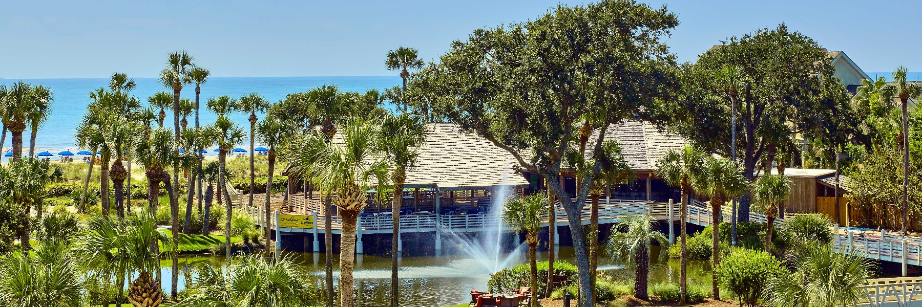 Palm trees and a pond near beach.